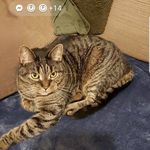 Jacqui Cook - @jacqui.cook.7186 - Instagram