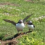 Jacqui Farrell-Fowler - @jacquifowlerglass - Instagram
