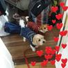 jacquifarrell - @jacquifarrell - TikTok