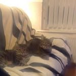Jacqui Fleming - @j.watkinson456 - Instagram