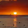 jacquifleming563 - @jaxatbusycorner - TikTok