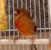 Jacqui Freeman - Facebook