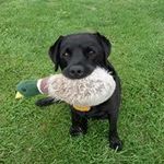 Jacqui Graham - @graham.jacqui - Instagram