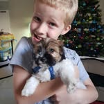 Jacqui Gray - @rabbit_gone_crazy - Instagram