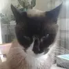 Jack - @jacquigreen07 - TikTok