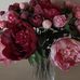 Jacqui Green - Facebook