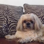 Jacqui Harvey - Facebook
