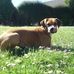 Jacqui Hill - Facebook
