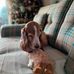 Jacqui Hughes - Facebook