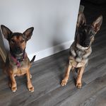 Jacqueline Langley (cebada) - @bolt_and_bander - Instagram