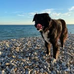 Jacqui Long - @jacqui.long.71 - Instagram