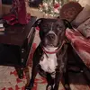 Jacqueline lyons - @jacquelinelyons751 - TikTok
