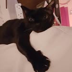 Jacqui Marshall - @jacqui_7967 - Instagram
