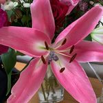 Jacqui Moore - @jacquimoore58 - Instagram