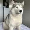 Jacqui Osborne - @jacqui.osborne6 - TikTok
