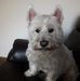 Jacqui Painter - Facebook
