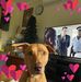 Jacqui Rose - Facebook
