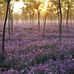 Jacqui Saunders - Facebook
