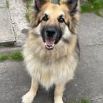 Jacqui Saunders - @murphy_luna_me - Instagram