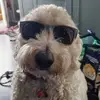 Jacqui Saunders - @jacqui.saunders2 - TikTok