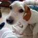Jacqui Scott - Facebook