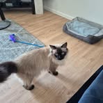 Jacqui Shepherd - Facebook