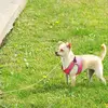 jacquisnyder157 - @jacquisnyder157 - TikTok