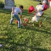 Jacqueline Stephens - @jacqueline.stephe - TikTok