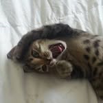 Jacqui Stephens - @nzgirl1975 - Instagram