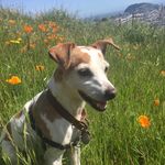 Jacqui Sweet - @sporkyspice - Instagram