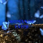 Jacqui Taylor - Facebook
