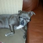 Jacqui Thomas - @jacqui.thomas.142 - Instagram