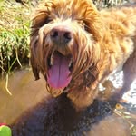 Jacqui Thomas - @jacqui.thomas.3386 - Instagram