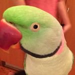 Jacqui Thomson - @jacquie_____101thomson - Instagram