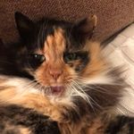 Jacqui Thomson - @jacqui.thomson.16 - Instagram