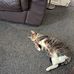 Jacqui Vincent - Facebook