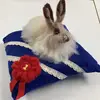 jacquivincentpotter1 - @jacquivincentpotter1 - TikTok