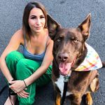 Jacqui | Pet Sitter & Dog Walker - @sitandstaynj - Instagram