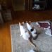 Jacqui Wells - Facebook