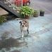 Jacqui Wells - Facebook