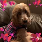 Jacqui Allen-West - @jacandlily - Instagram