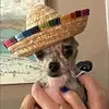 Jacqueline Wilkinson - @jacqueline.wilkin5 - TikTok