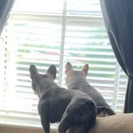 Jacqueline Woolley - @jaco1309 - Instagram