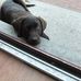Jacqui Woolley - Facebook