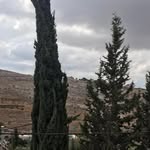 Jad M Hassoun - @jadmhassoun - Instagram