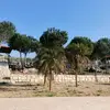Jad ibrahim - @jad_ibrahim31 - TikTok