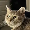 Jad Ibrahim - @jad.ibrahim1 - TikTok