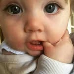 Abo Jad Salameh - @abo_l3es_24 - Instagram