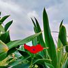 Jad Salameh - @jad.salameh8 - TikTok