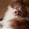 Jada Bishop - @jada.bishop4 - TikTok